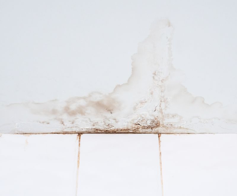Ceiling Leak Repair Service in Houston, TX